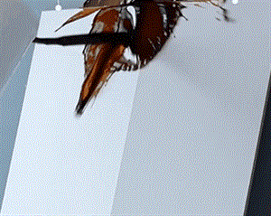 Wall Spray