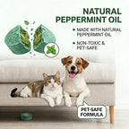 Mouse & Rat Repellent Balls | BUY 1 GET 1 FREE!