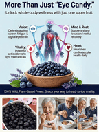Changbai Mountain Dried Blueberry Seeds