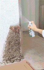 Wall Spray